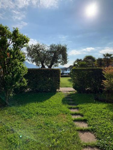 a stone path in a garden with a tree and bushes at Ulivi Hotel & Residence in Paratico