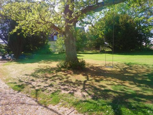 a tree with a swing in a yard at La Nouvelle Criqueboise in Criquebeuf-en-Caux