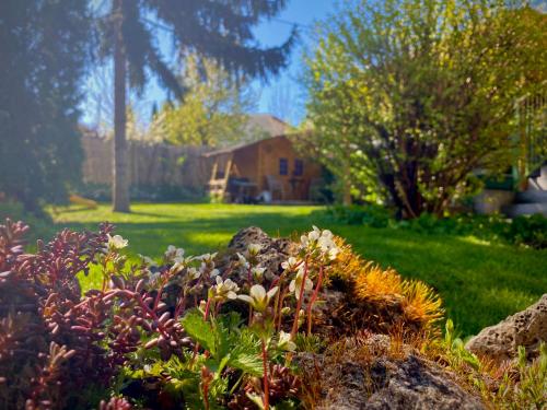 a garden of flowers in front of a house at Gyöngyszem Vendégház in Eger