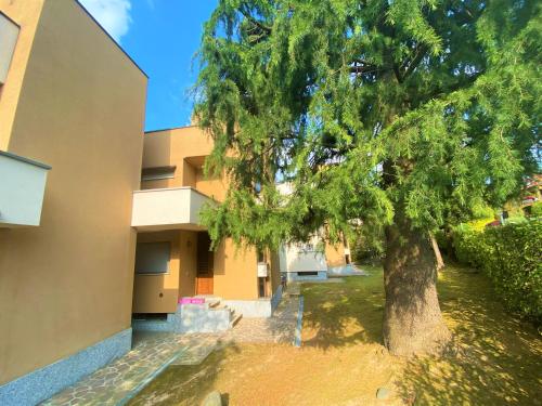 a large tree in front of a building at IL TERRAZZO A BELLAGIO in Bellagio