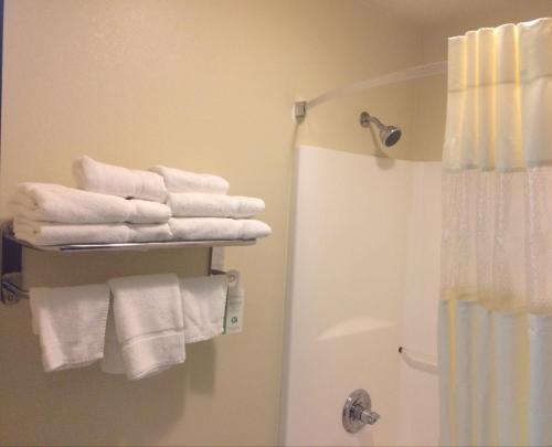 Ein Badezimmer in der Unterkunft Boarders Inn & Suites by Cobblestone Hotels - Ashland City