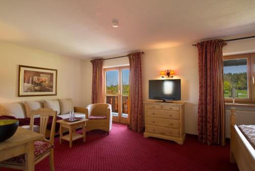 a hotel room with a couch and a television at Kapler Alm in Waakirchen