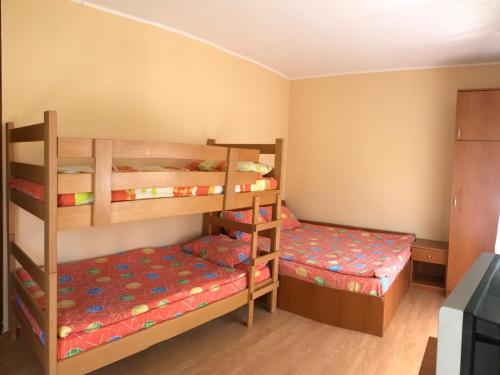 a bedroom with two bunk beds and a television at Apartmani Smiljanic app 3 in Soko Banja