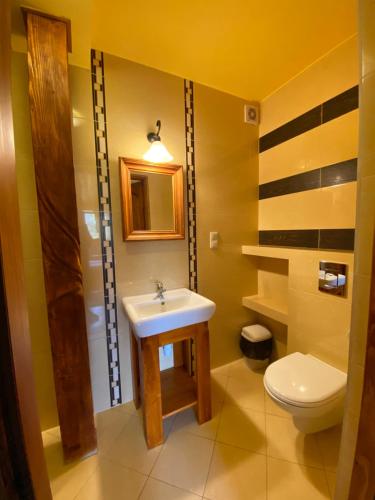 a bathroom with a sink and a toilet at POD ROŻKAMI in Cisna
