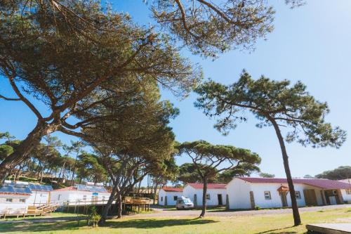 Oasis Backpackers Hostel Sintra Surf