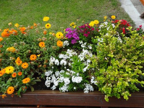 Jardín al aire libre en Cabañas de Nené Aparts