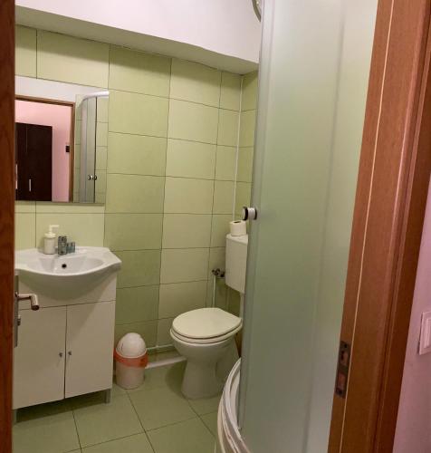 a bathroom with a toilet and a sink at Pensiunea Class in Sălişte