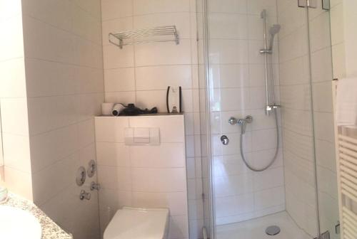 ein Bad mit einer Dusche und einem WC in der Unterkunft Sterntaler (Landhaus Immenbarg) in Rostock
