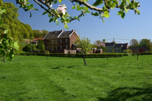 a house in the middle of a green field at Mille Fleur Apartments in Voeren