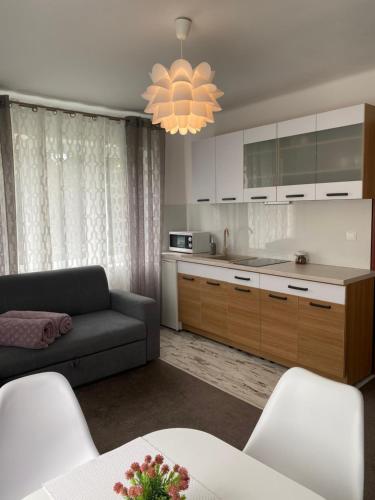 Kuchyňa alebo kuchynka v ubytovaní Apartament u Gogoca II