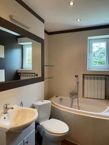 a bathroom with a toilet and a sink and a tub at Apartament u Gogoca II in Tylicz