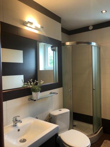 a bathroom with a toilet and a sink and a shower at Apartament u Gogoca in Tylicz