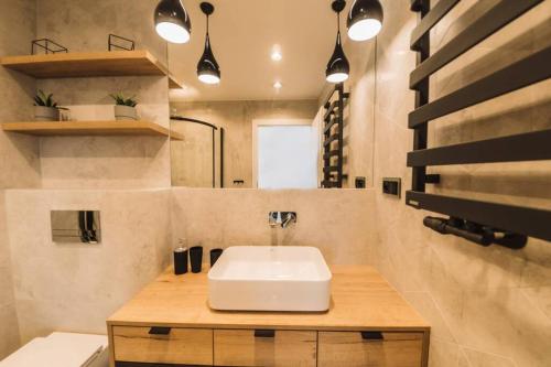 Koupelna v ubytování Giżycko Soft Loft - Apartament dwupoziomowy z klimatyzacją