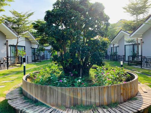 a garden in front of a house with a tree at Sandy Clay Bungalows in Sihanoukville