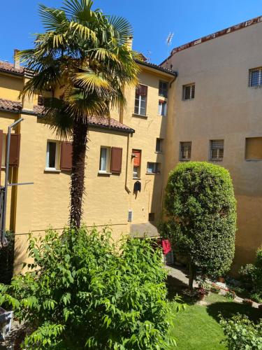 a palm tree in front of a building at Residenza del Duse in Bologna