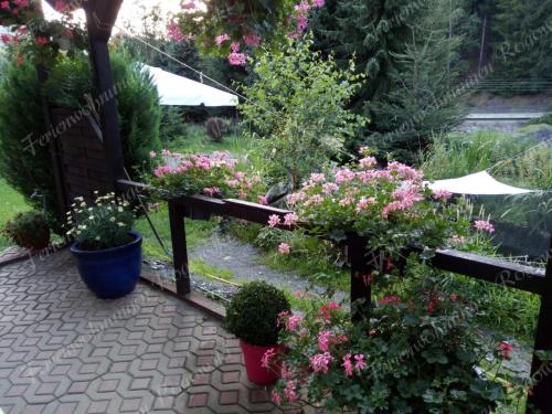 Taman di luar Ferienwohnung Rogowski