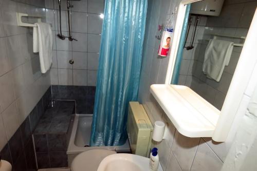 a bathroom with a blue shower curtain and a toilet at Apartments Milena & Ante in Makarska