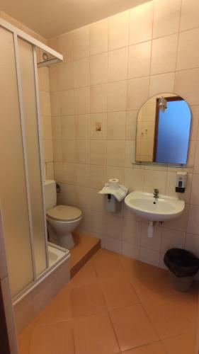a bathroom with a toilet and a sink and a mirror at WILLA ELITA in Krynica Morska