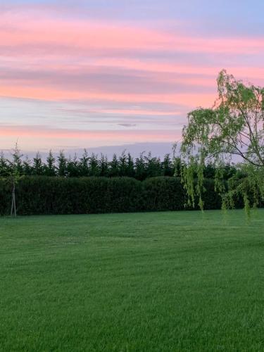 a field of green grass with a tree in the middle at B&B Beauty House in Cesena
