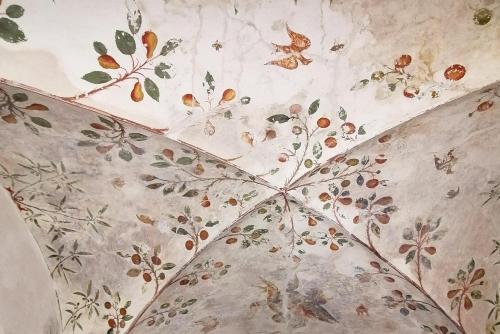 a close up of a floral pattern on a wall at Curt di Clement Eco Mobility Hotel in Tirano