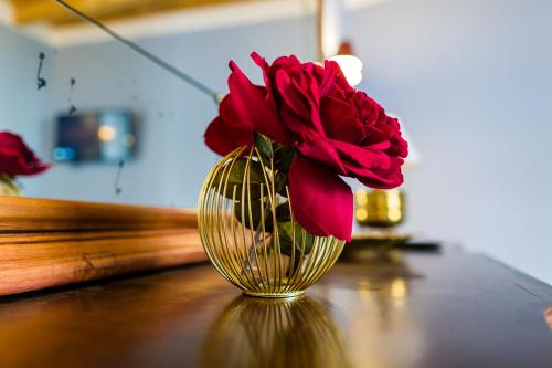 a vase with a red rose in it on a table at Hospedium Hotel El Nido de Alcudia Suites in Almodóvar del Campo