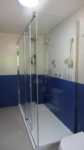 a bathroom with a glass shower with a blue wall at Casa Leo in Cee