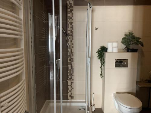 uma casa de banho com um chuveiro e um WC. em Pułaskiego 11A - Przestronne apartamenty, Sopot centrum em Sopot