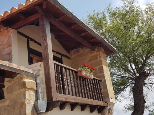 a balcony with a pot of red flowers on it at Posada Condado de la Mota in Mogro
