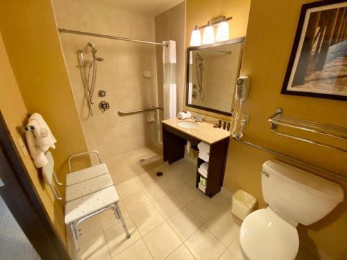 Un baño de Comfort Inn & Suites Frisco East - McKinney