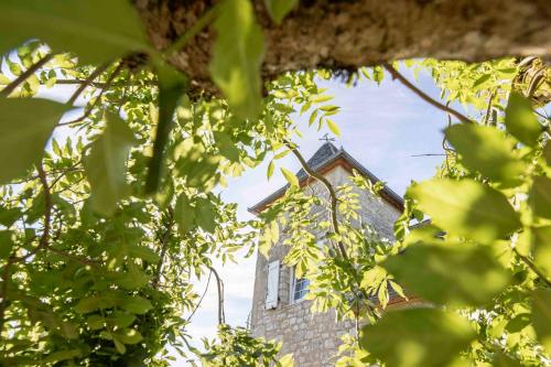 a building through the leaves of a tree at Domaine La Garenne in Reilhaguet