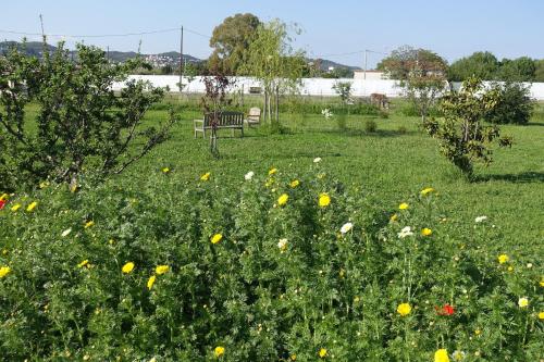 a park with a bench in a field of flowers at Gîte du Pagoulin - Gîte in Hyères