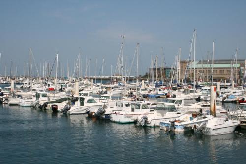 a bunch of boats docked in a harbor at Cit'Hotel Hôtel Beauséjour in Cherbourg en Cotentin
