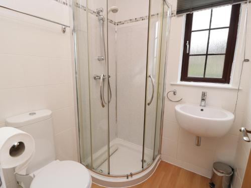 a bathroom with a shower and a toilet and a sink at Savita Cottage in Girvan