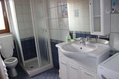 a bathroom with a sink and a toilet and a shower at Apartment Marina in Medulin
