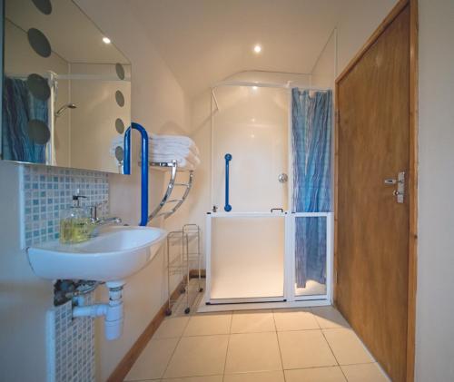 a bathroom with a sink and a shower at Down Ende House Accommodation in Looe