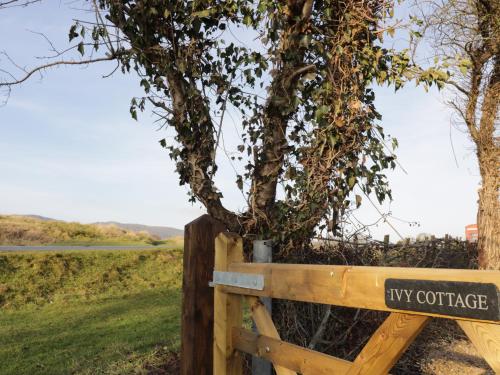 Ivy Cottage – Photos 2