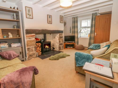 a living room with a fireplace and a couch at Rhianfa in Llanfairpwllgwyngyll