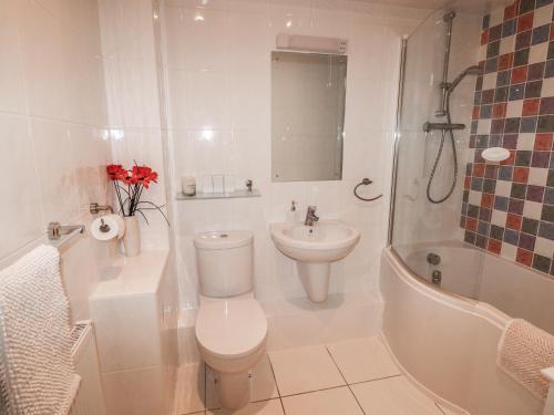 Un baño blanco con inodoro y lavabo. en 24 Rhodewood House, en Saundersfoot