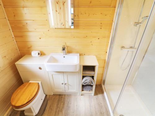 ウルバーストンにあるElm Lodgeの小さなバスルーム(洗面台、トイレ付)