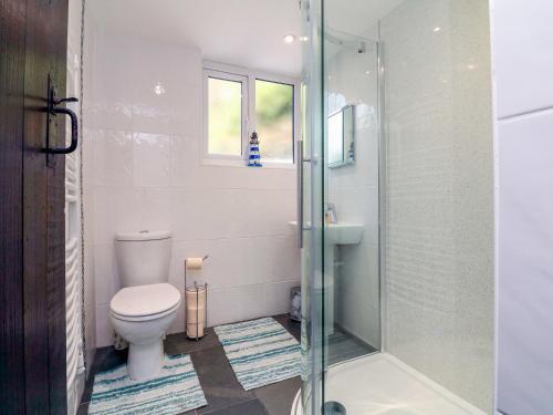 a bathroom with a toilet and a glass shower at Easterly Cottage in Bude