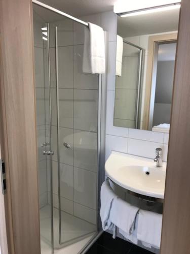 a bathroom with a glass shower and a sink at Landgasthof Hotel Rittmayer in Hallerndorf