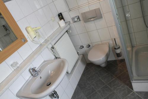 a bathroom with a sink and a toilet at Gasthof Pension Zum goldenen Hirschen in Burgbernheim