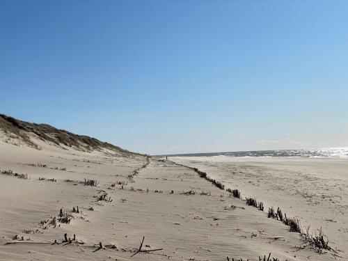 Dein Sylt photo 13