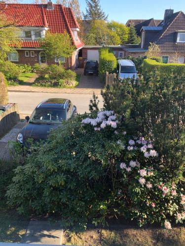 Dein Sylt photo 25