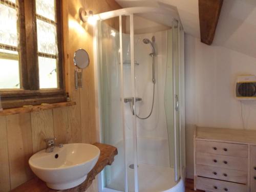 uma casa de banho com um chuveiro e um lavatório. em côté jardin em Saint-Clément