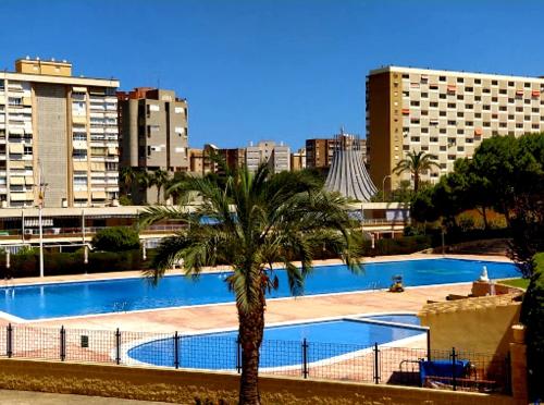 Playa de San Juan ALICANTE