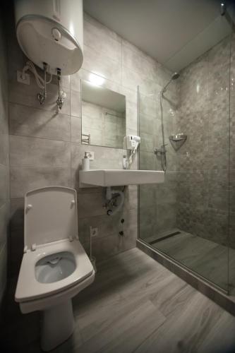a bathroom with a toilet and a sink and a shower at Solo Apartment Kamenskaya in Kyiv