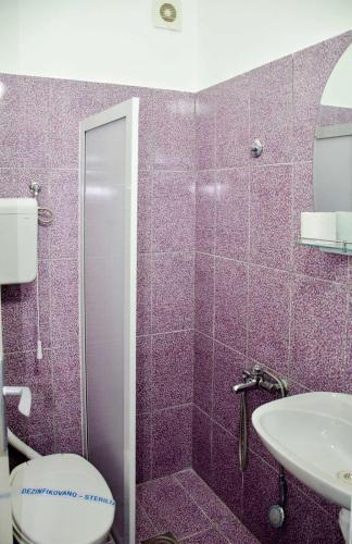 a bathroom with a toilet and a sink at Apartments Ozren in Soko Banja