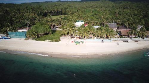 an aerial view of a beach with palm trees at The Beach House Carabao Island in San Jose