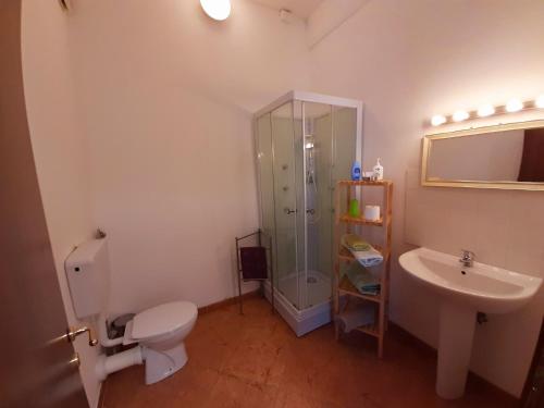 a bathroom with a shower and a toilet and a sink at Ostello Breda in Rivarolo del Re ed Uniti